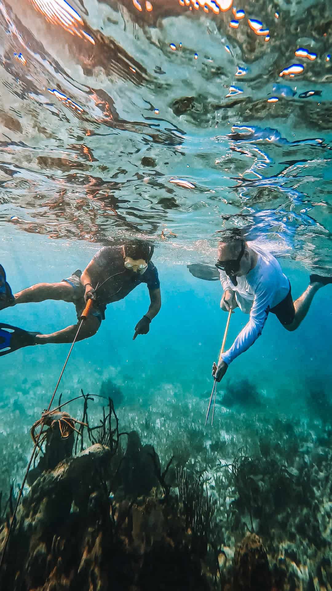 Colorful scuba divers exploring vibrant Belize coral reef for snorkeling and marine adventure.