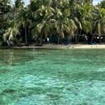 Vibrant Belize Reef shoreline with lush palm trees, clear turquoise waters, and a relaxing beach setting, perfect for Belize Reef Charters adventures and exploring Belize’s stunning marine environment.