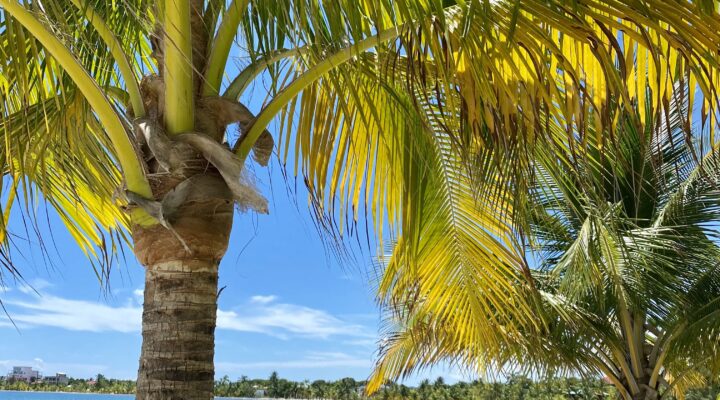 beach in placencia belize