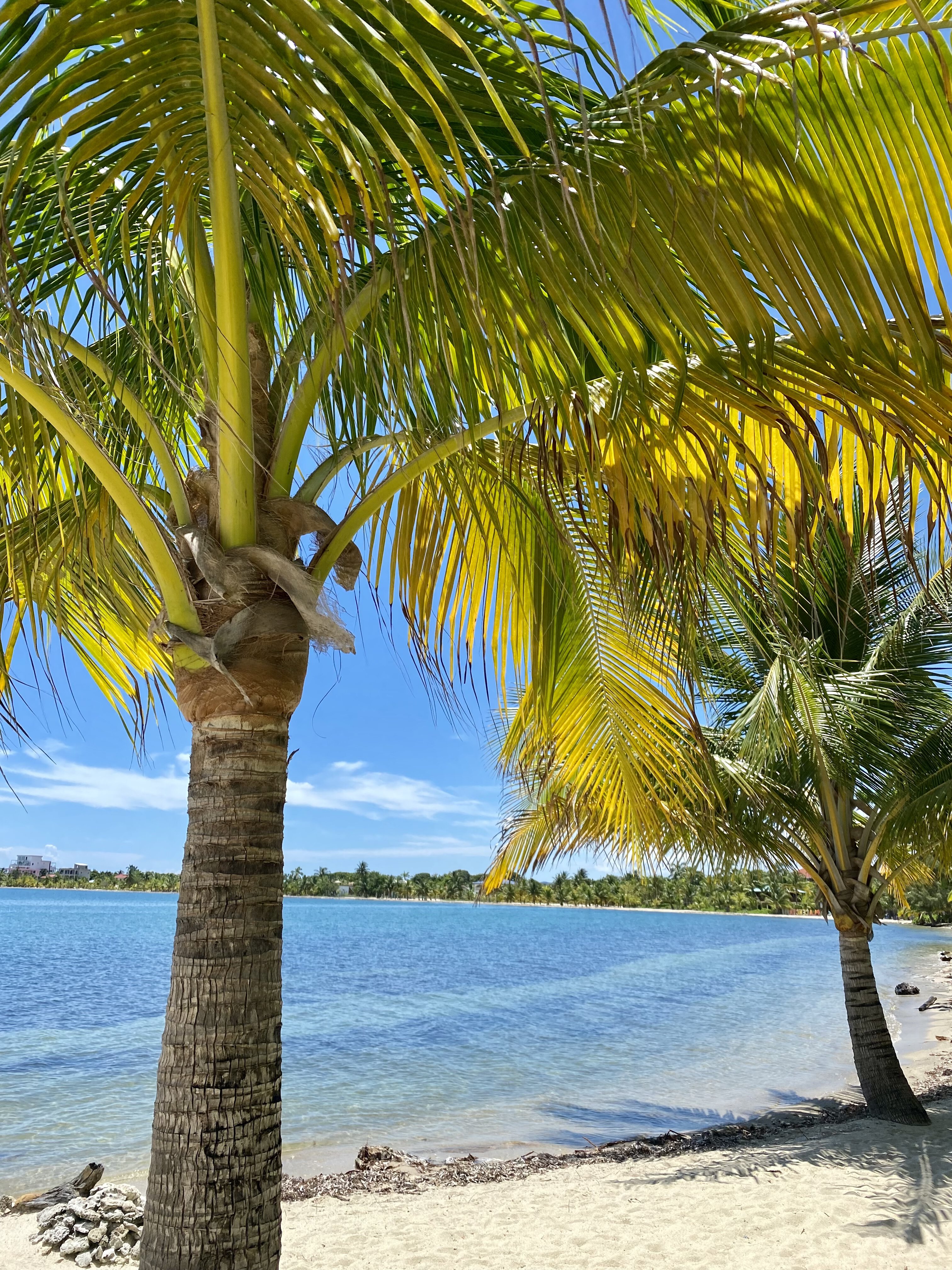 beach in placencia belize