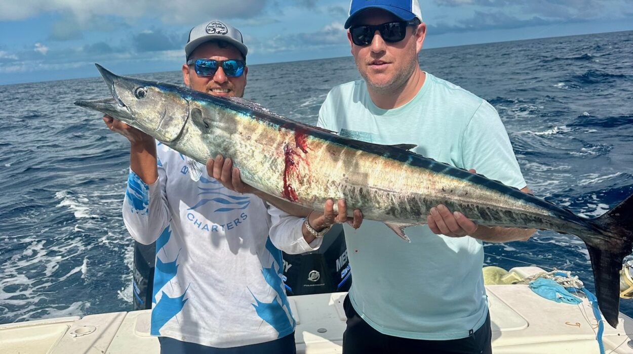 wahoo fishing in belize