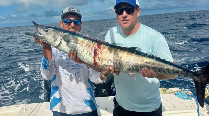 wahoo fishing in belize